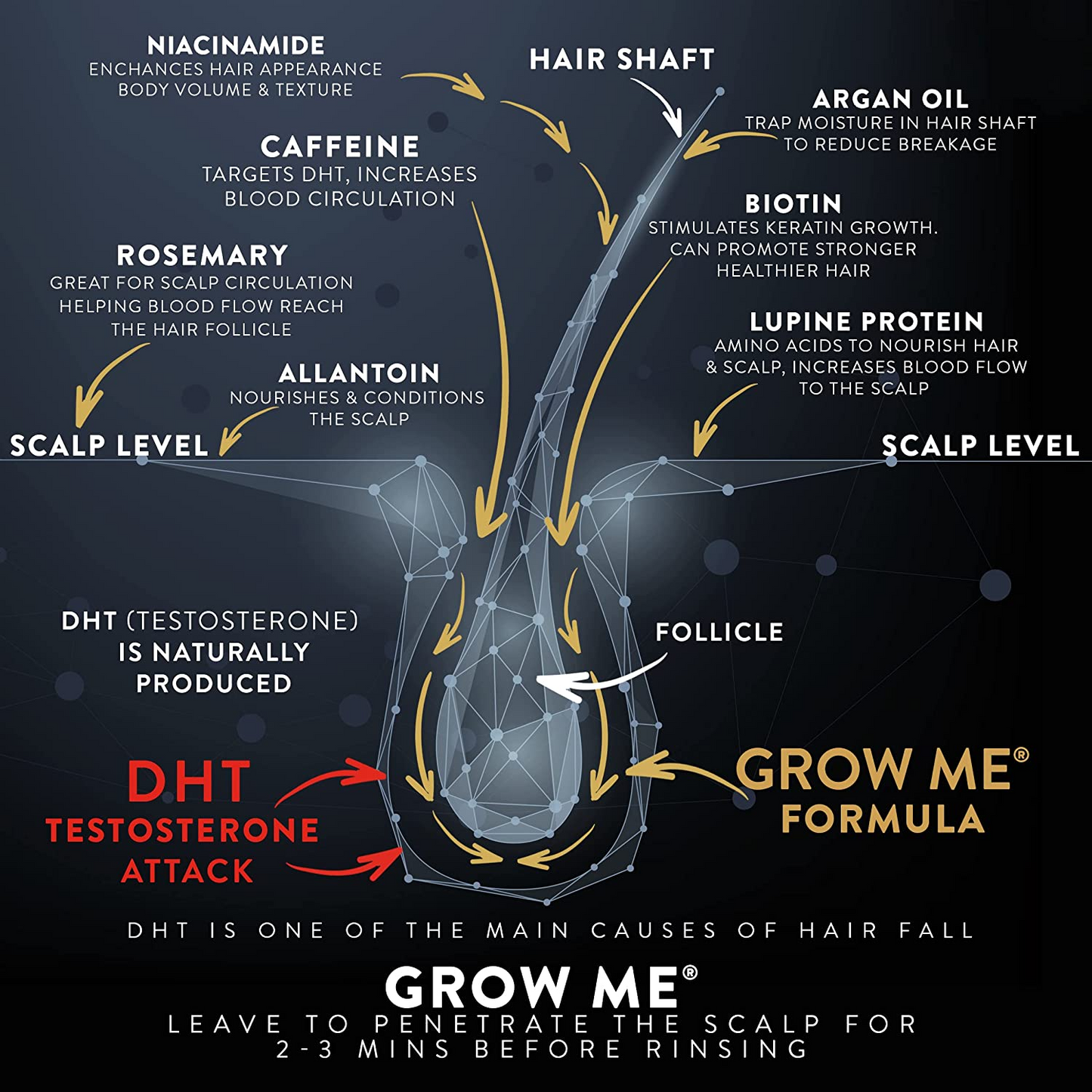 
                  
                    Grow Me® Hair loss Shampoo,  Boost Hair Growth, Anti Hair Loss, Grow Hair Faster
                  
                